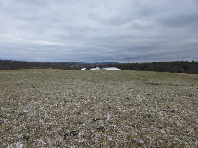 Listing Image 79