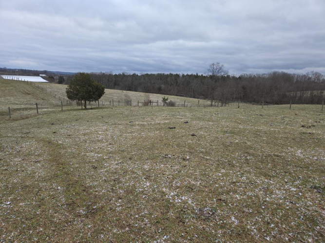 Listing Image 80