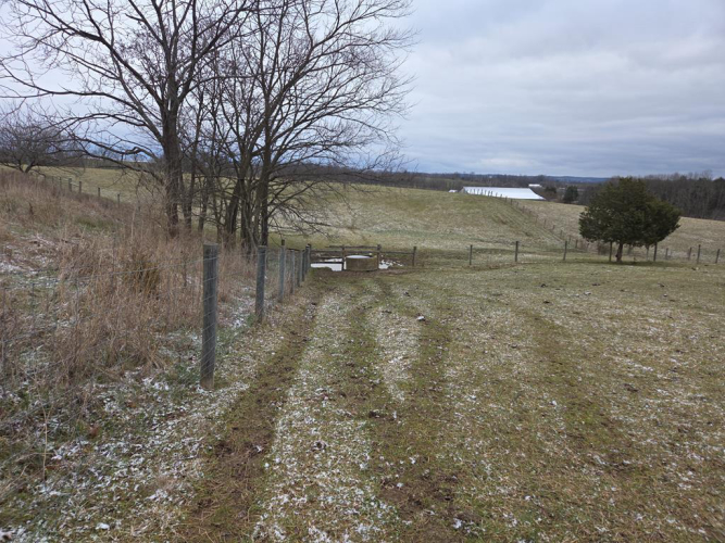 Listing Image 81