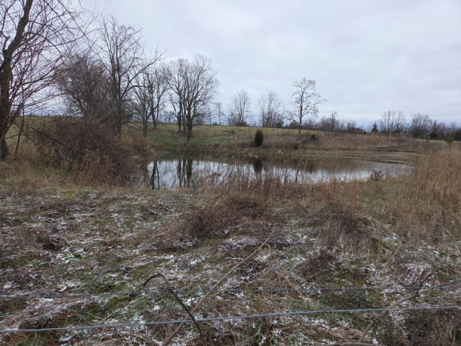 Listing Image 82