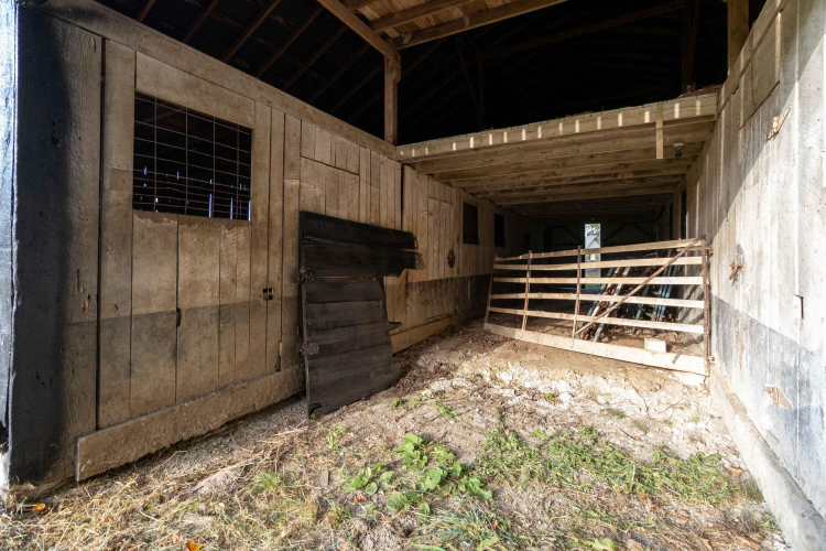 Listing Image 48