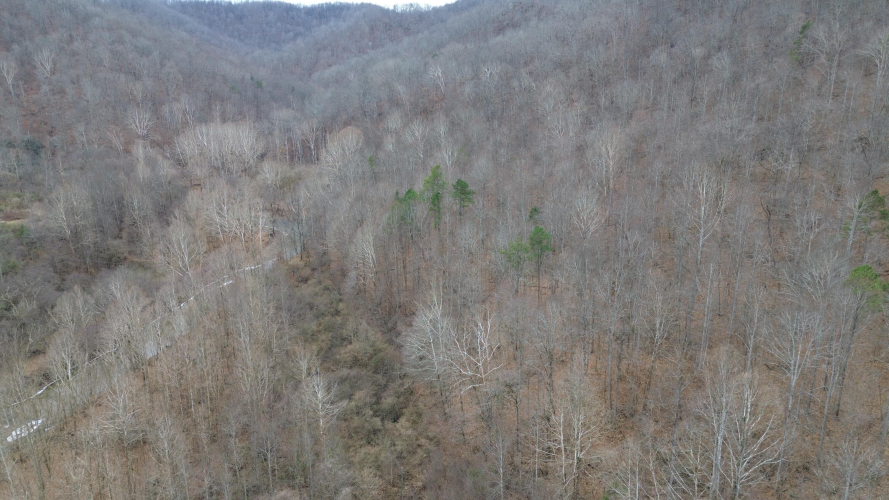 Listing Image 16