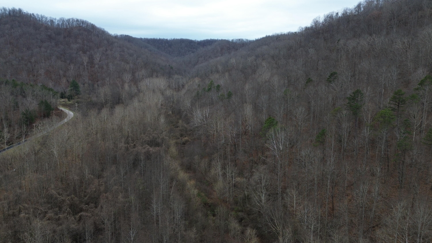 Listing Image 18