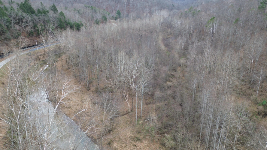 Listing Image 19