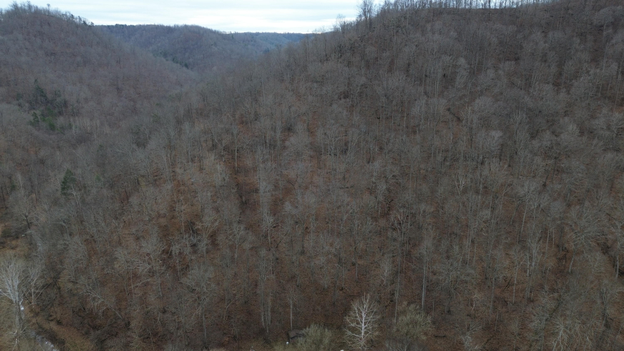 Listing Image 9