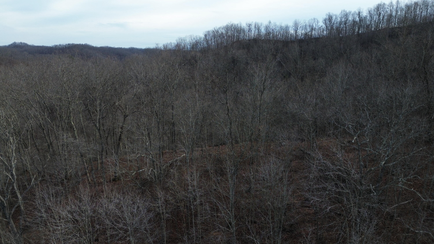 Listing Image 16