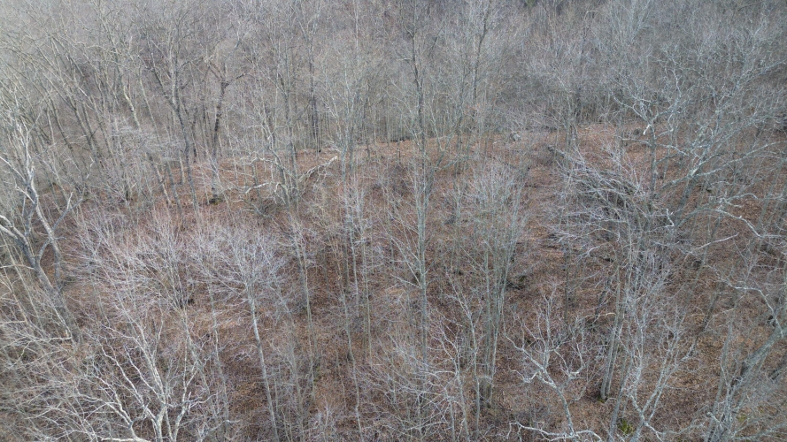 Listing Image 17