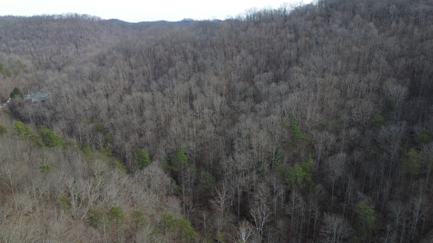 Listing Image 21