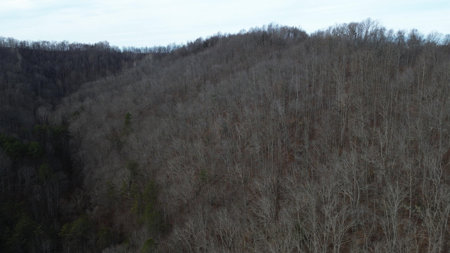 Listing Image 26