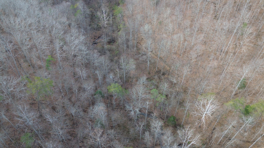 Listing Image 31