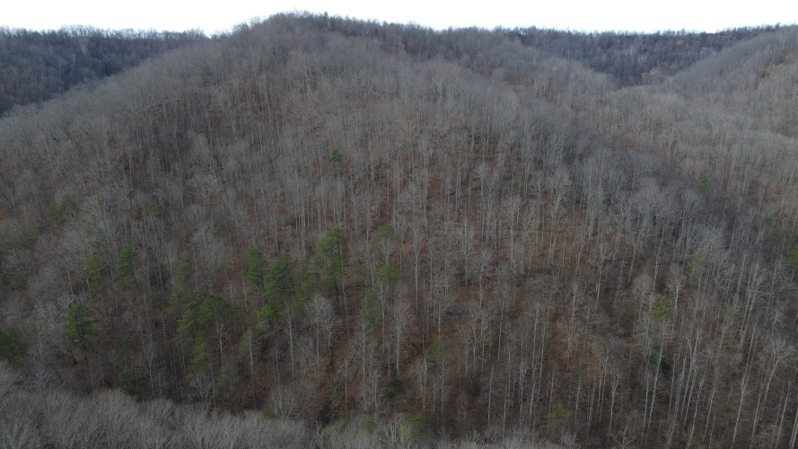 Listing Image 32