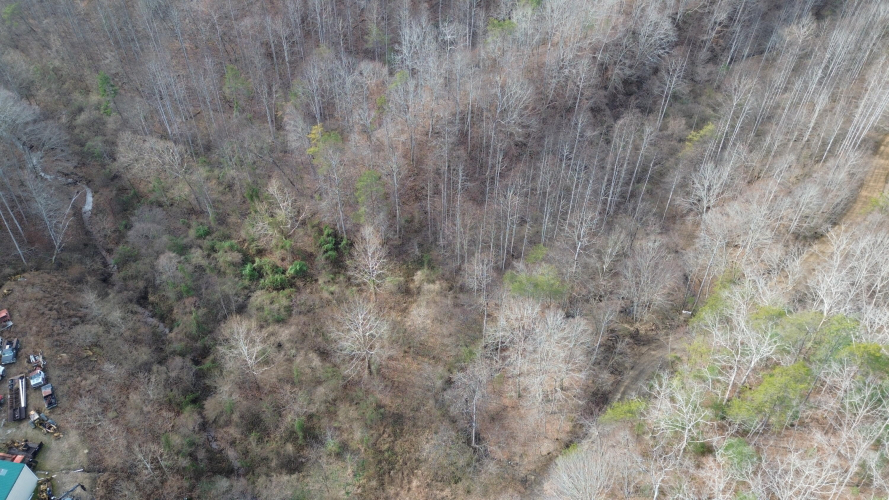 Listing Image 37
