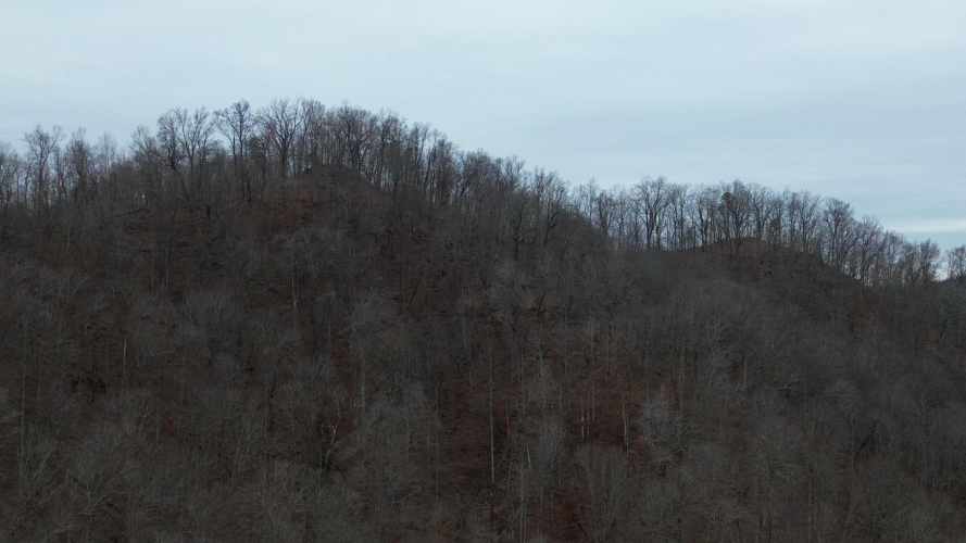 Listing Image 38