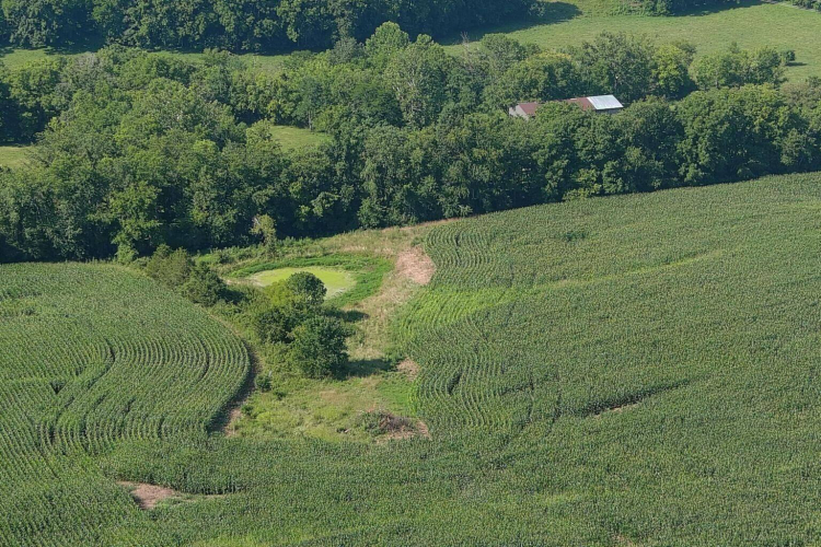 Listing Image 6