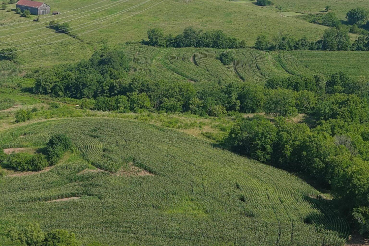 Listing Image 8