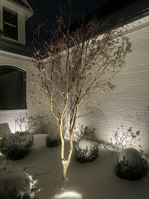 Listing Image 74