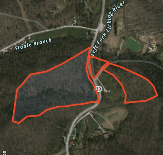 Listing Image 11