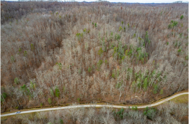 Listing Image 14