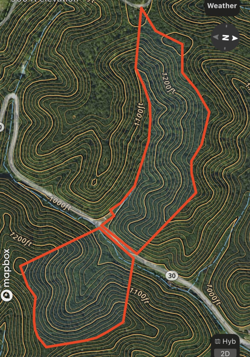 Listing Image 12