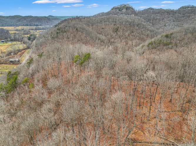 Listing Image 14