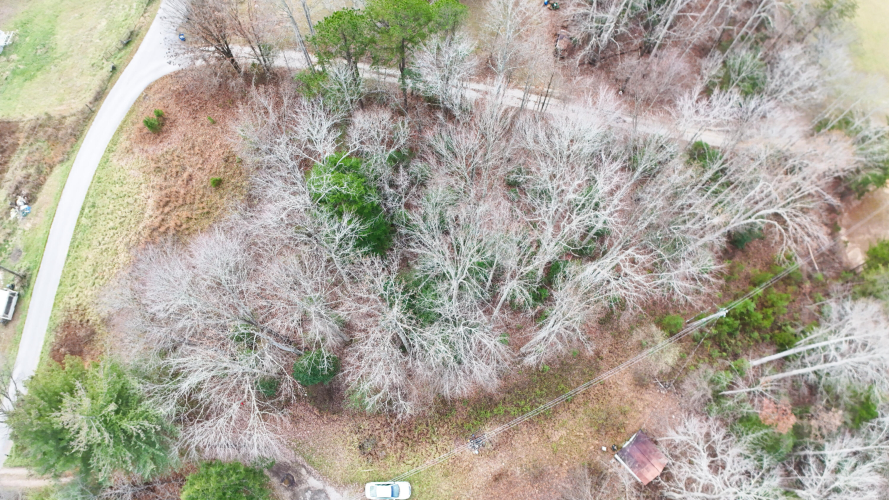 Listing Image 18