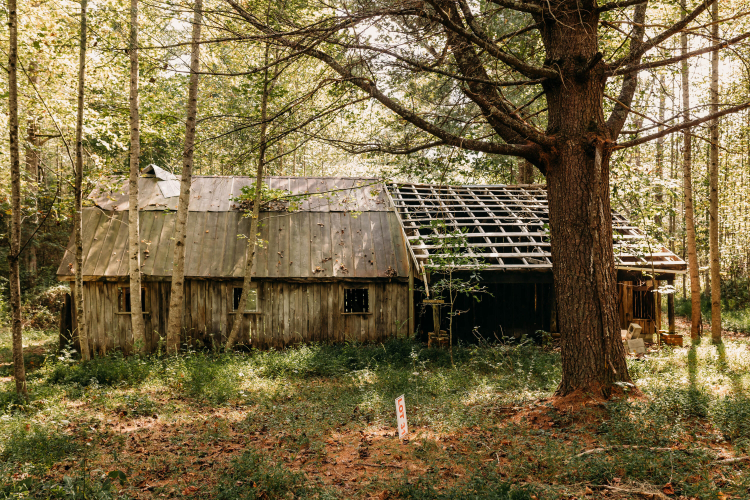 Listing Image 9