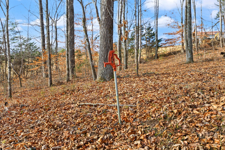 Listing Image 17
