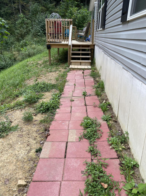Listing Image 5
