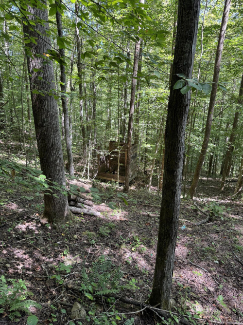 Listing Image 50