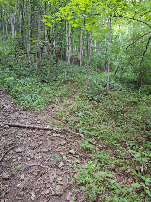 Listing Image 51