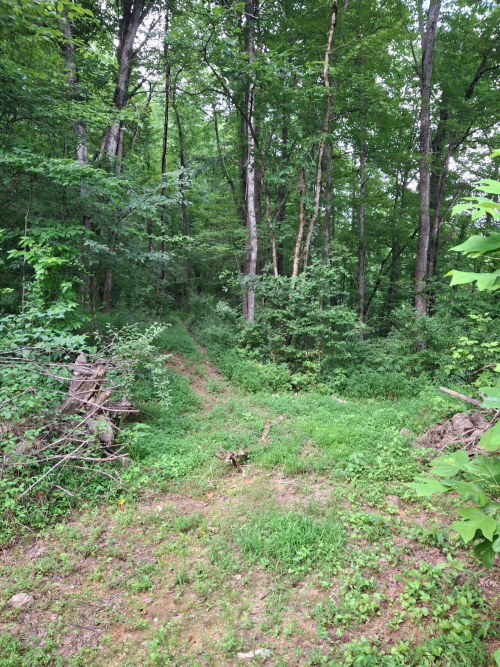 Listing Image 52