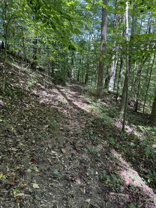 Listing Image 57
