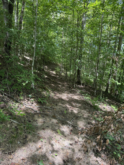 Listing Image 58