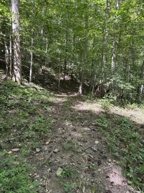 Listing Image 59
