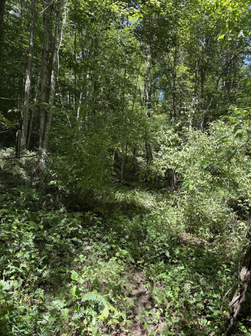 Listing Image 60