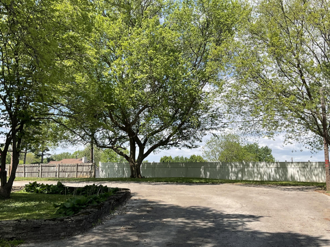 Listing Image 22