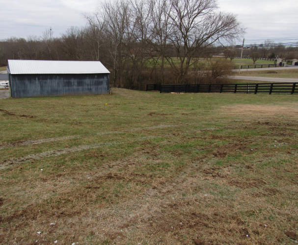 Listing Image 29