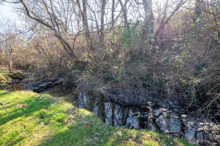 Listing Image 56