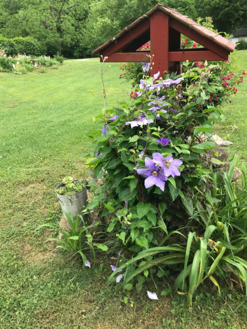 Listing Image 32