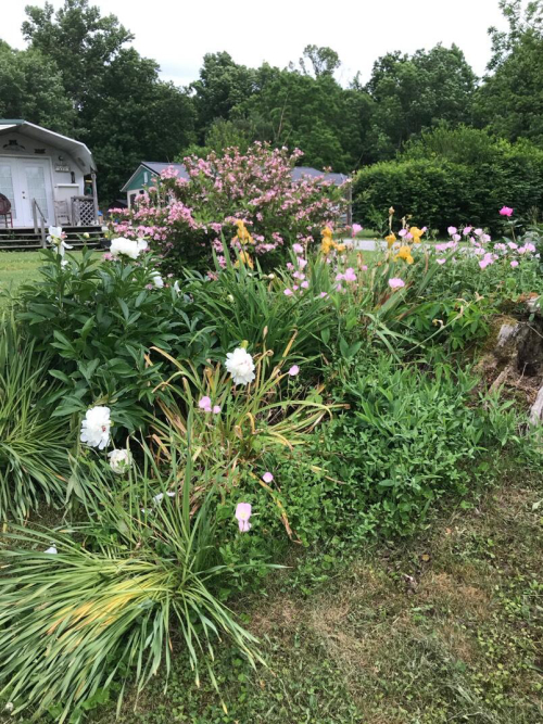Listing Image 33