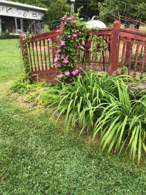 Listing Image 34