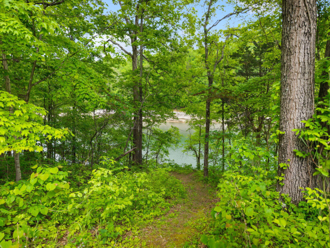 Listing Image 55