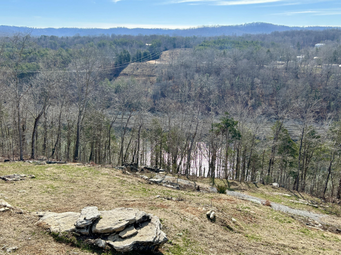 Listing Image 66
