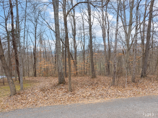 Listing Image 6