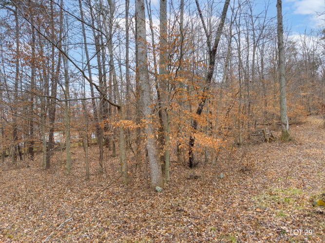 Listing Image 5