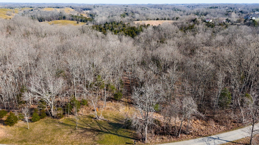 Listing Image 12