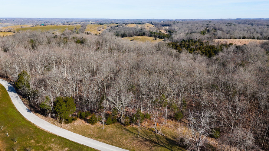 Listing Image 13