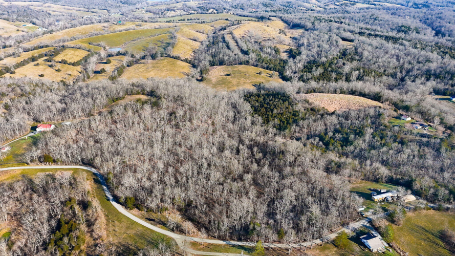 Listing Image 15