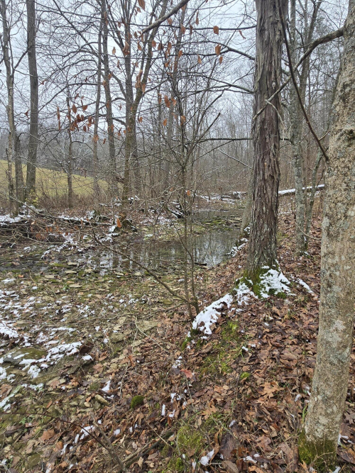 Listing Image 17