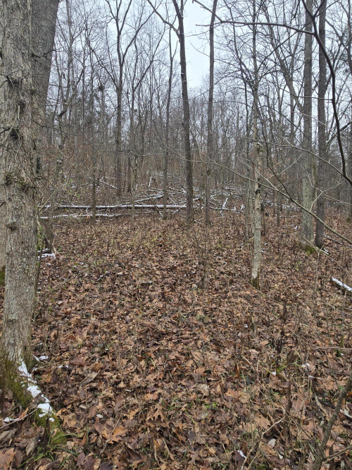 Listing Image 18
